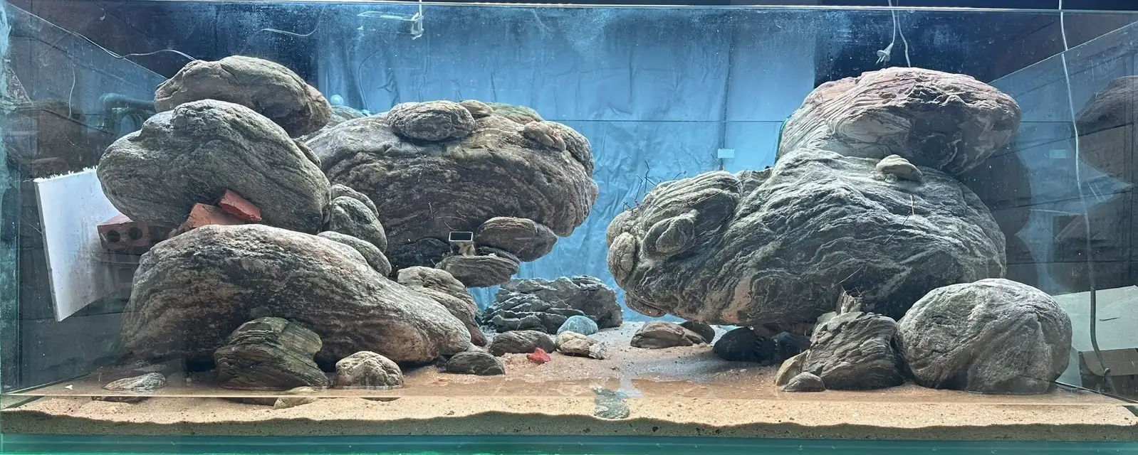 Aquascaping steps - Connecting - IAPLC 2025 Honor Prize - Long Tran Hoang / Vietnam